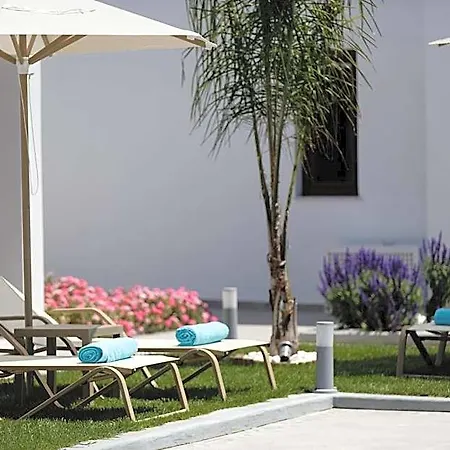 Hotel Coconut Palm Paradise 4*